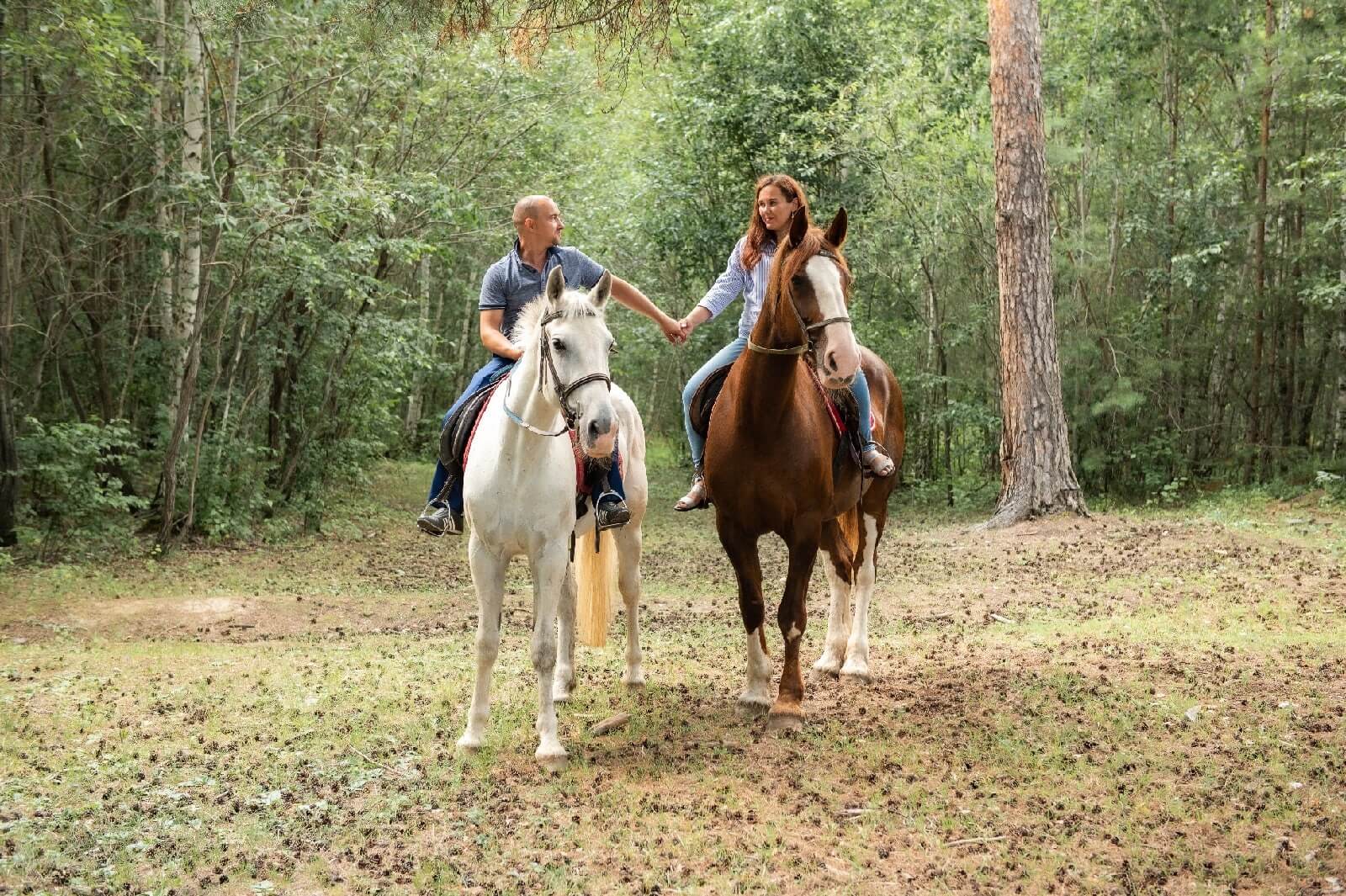 прогулка на лошадях в лесу