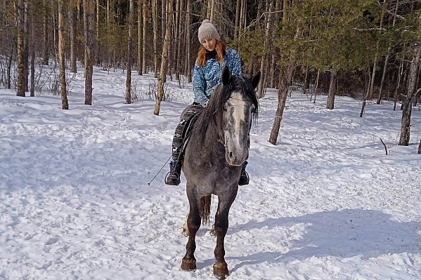 Верховая езда и конные прогулки в Челябинске. Подарочные сертификаты Ultra Подарки. Купить оригинальный подарок или подарочный сертификат на Верховая езда и конные прогулки в Челябинске. Сервис UltraPodarki.ru 8-800-505-9530. Катание на лошадях, Прогулка на лошади, Прогулка на лошадях для двоих, Верховая езда и конные прогулки, конный клуб, Конный клуб Быстрай, конная прогулка, конная прогулка в Челябинске