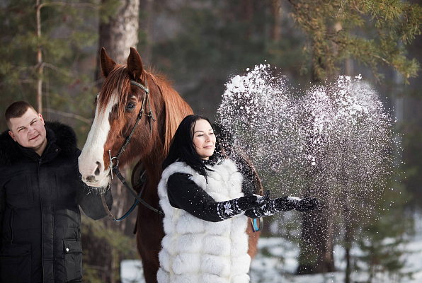Конная прогулка для двоих в Челябинске. Подарочные сертификаты Ultra Подарки. Купить оригинальный подарок или подарочный сертификат на Конная прогулка для двоих в Челябинске. Сервис UltraPodarki.ru 8-800-505-9530. Катание на лошадях, Прогулка на лошади, Прогулка на лошадях для двоих, Конная прогулка для двоих, конный клуб, конный двор, Конный двор "Быстрай", конная прогулка, конная прогулка в Челябинске