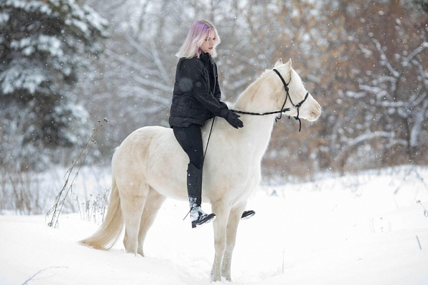 Верховая езда и конные прогулки в Челябинске. Подарочные сертификаты Ultra Подарки. Купить оригинальный подарок или подарочный сертификат на Верховая езда и конные прогулки в Челябинске. Сервис UltraPodarki.ru 8-800-505-9530. Катание на лошадях, Прогулка на лошади, Прогулка на лошадях для двоих, Верховая езда и конные прогулки, конный клуб, Конный клуб Быстрай, конная прогулка, конная прогулка в Челябинске