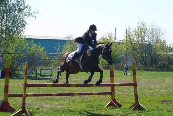 Верховая езда и конные прогулки в Челябинске. Подарочные сертификаты Ultra Подарки. Купить оригинальный подарок или подарочный сертификат на Верховая езда и конные прогулки в Челябинске. Сервис UltraPodarki.ru 8-800-505-9530. Катание на лошадях, Прогулка на лошади, Прогулка на лошадях для двоих, Верховая езда и конные прогулки, конный клуб, Конный клуб Быстрай, конная прогулка, конная прогулка в Челябинске