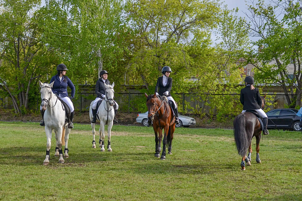Верховая езда и конные прогулки в Челябинске. Подарочные сертификаты Ultra Подарки. Купить оригинальный подарок или подарочный сертификат на Верховая езда и конные прогулки в Челябинске. Сервис UltraPodarki.ru 8-800-505-9530. Катание на лошадях, Прогулка на лошади, Прогулка на лошадях для двоих, Верховая езда и конные прогулки, конный клуб, Конный клуб Быстрай, конная прогулка, конная прогулка в Челябинске