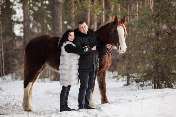 Конная прогулка для двоих в Челябинске. Подарочные сертификаты Ultra Подарки. Купить оригинальный подарок или подарочный сертификат на Конная прогулка для двоих в Челябинске. Сервис UltraPodarki.ru 8-800-505-9530. Катание на лошадях, Прогулка на лошади, Прогулка на лошадях для двоих, Конная прогулка для двоих, конный клуб, конный двор, Конный двор "Быстрай", конная прогулка, конная прогулка в Челябинске