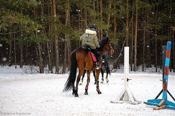 Верховая езда и конные прогулки в Челябинске. Подарочные сертификаты Ultra Подарки. Купить оригинальный подарок или подарочный сертификат на Верховая езда и конные прогулки в Челябинске. Сервис UltraPodarki.ru 8-800-505-9530. Катание на лошадях, Прогулка на лошади, Прогулка на лошадях для двоих, Верховая езда и конные прогулки, конный клуб, Конный клуб Быстрай, конная прогулка, конная прогулка в Челябинске