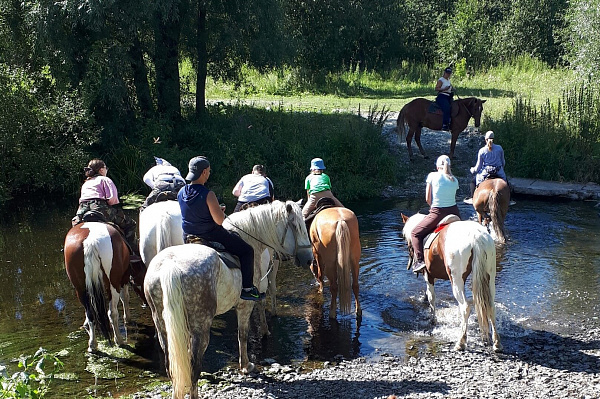 Верховая езда и конные прогулки в Челябинске. Подарочные сертификаты Ultra Подарки. Купить оригинальный подарок или подарочный сертификат на Верховая езда и конные прогулки в Челябинске. Сервис UltraPodarki.ru 8-800-505-9530. Катание на лошадях, Прогулка на лошади, Прогулка на лошадях для двоих, Верховая езда и конные прогулки, конный клуб, Конный клуб Быстрай, конная прогулка, конная прогулка в Челябинске