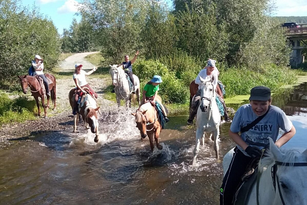 Верховая езда и конные прогулки в Челябинске. Подарочные сертификаты Ultra Подарки. Купить оригинальный подарок или подарочный сертификат на Верховая езда и конные прогулки в Челябинске. Сервис UltraPodarki.ru 8-800-505-9530. Катание на лошадях, Прогулка на лошади, Прогулка на лошадях для двоих, Верховая езда и конные прогулки, конный клуб, Конный клуб Быстрай, конная прогулка, конная прогулка в Челябинске