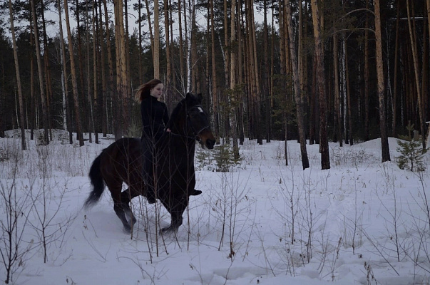 Верховая езда и конные прогулки в Челябинске. Подарочные сертификаты Ultra Подарки. Купить оригинальный подарок или подарочный сертификат на Верховая езда и конные прогулки в Челябинске. Сервис UltraPodarki.ru 8-800-505-9530. Катание на лошадях, Прогулка на лошади, Прогулка на лошадях для двоих, Верховая езда и конные прогулки, конный клуб, Конный клуб Быстрай, конная прогулка, конная прогулка в Челябинске