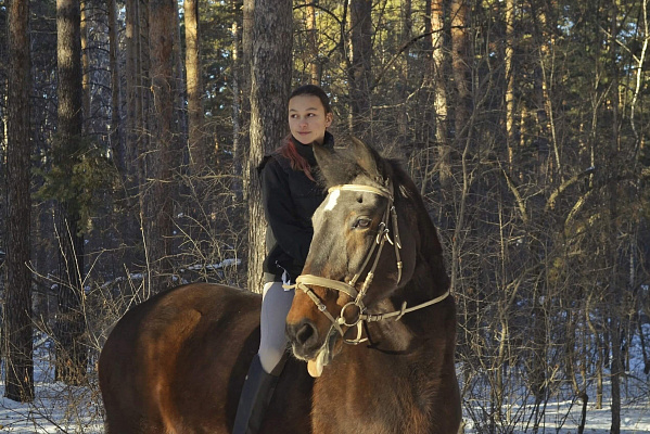 Верховая езда и конные прогулки в Челябинске. Подарочные сертификаты Ultra Подарки. Купить оригинальный подарок или подарочный сертификат на Верховая езда и конные прогулки в Челябинске. Сервис UltraPodarki.ru 8-800-505-9530. Катание на лошадях, Прогулка на лошади, Прогулка на лошадях для двоих, Верховая езда и конные прогулки, конный клуб, Конный клуб Быстрай, конная прогулка, конная прогулка в Челябинске