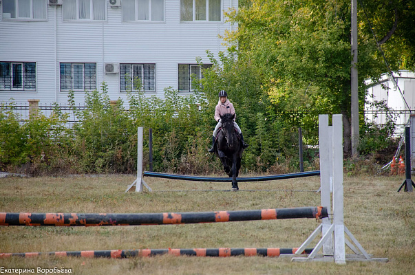 Верховая езда и конные прогулки в Челябинске. Подарочные сертификаты Ultra Подарки. Купить оригинальный подарок или подарочный сертификат на Верховая езда и конные прогулки в Челябинске. Сервис UltraPodarki.ru 8-800-505-9530. Катание на лошадях, Прогулка на лошади, Прогулка на лошадях для двоих, Верховая езда и конные прогулки, конный клуб, Конный клуб Быстрай, конная прогулка, конная прогулка в Челябинске