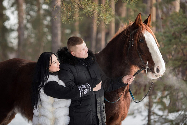 Конная прогулка для двоих в Челябинске. Подарочные сертификаты Ultra Подарки. Купить оригинальный подарок или подарочный сертификат на Конная прогулка для двоих в Челябинске. Сервис UltraPodarki.ru 8-800-505-9530. Катание на лошадях, Прогулка на лошади, Прогулка на лошадях для двоих, Конная прогулка для двоих, конный клуб, конный двор, Конный двор "Быстрай", конная прогулка, конная прогулка в Челябинске