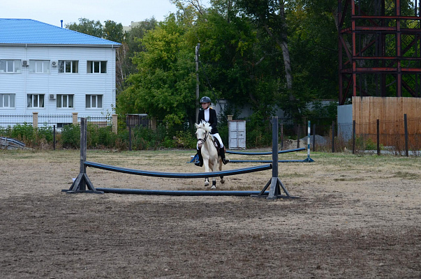 Верховая езда и конные прогулки в Челябинске. Подарочные сертификаты Ultra Подарки. Купить оригинальный подарок или подарочный сертификат на Верховая езда и конные прогулки в Челябинске. Сервис UltraPodarki.ru 8-800-505-9530. Катание на лошадях, Прогулка на лошади, Прогулка на лошадях для двоих, Верховая езда и конные прогулки, конный клуб, Конный клуб Быстрай, конная прогулка, конная прогулка в Челябинске